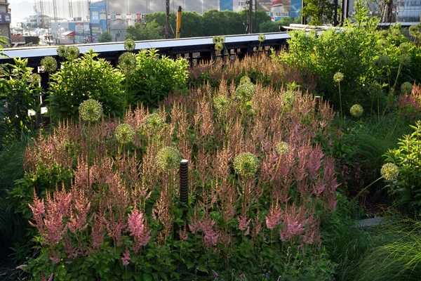 The High Line: Reimagining the Accidental Landscape