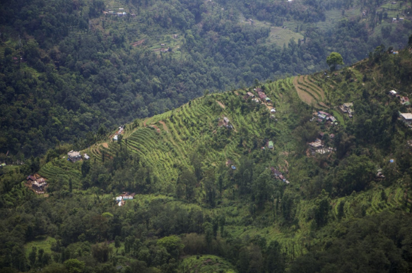 An Indian State Banned Pesticides. Tourism and Wildlife Flourished. Will Others Follow?