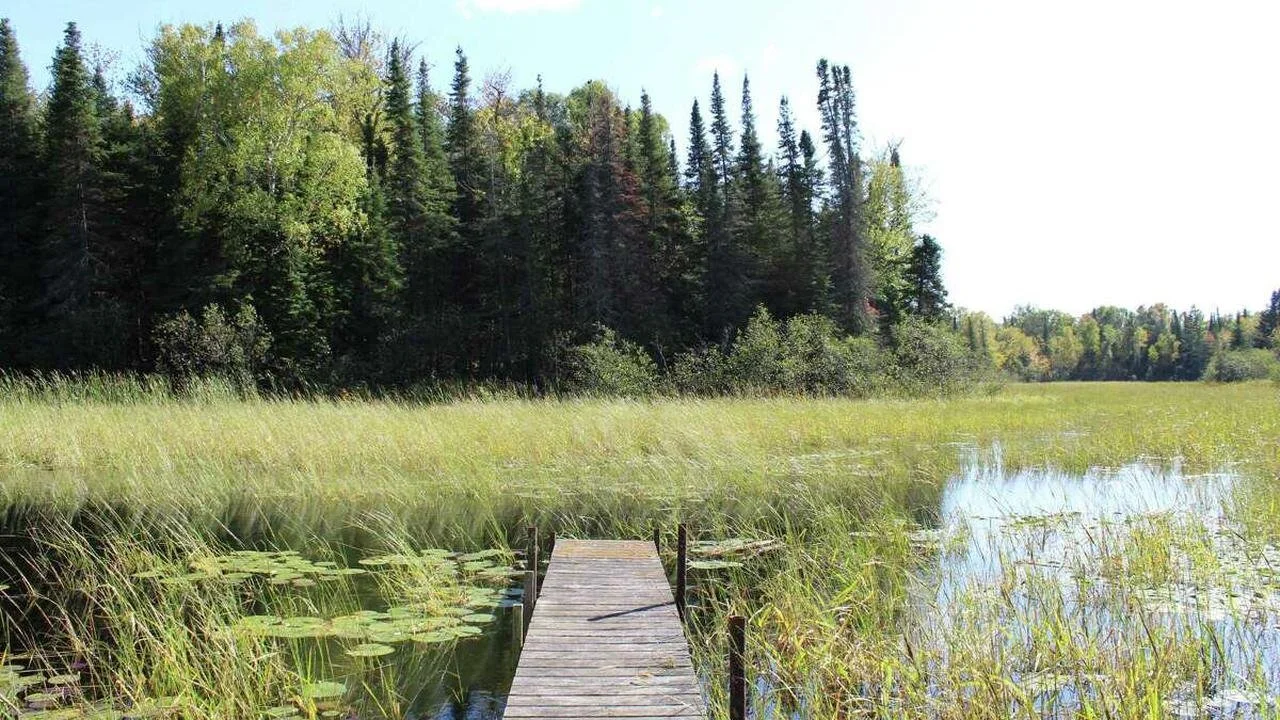 Seeds of hope: How nature inspires scientists to confront climate change