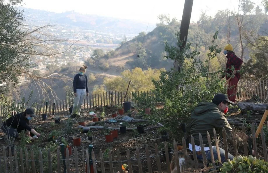 Test Plots in Los Angeles Parks Grow More Than Native Crops: A Community of People Who Care