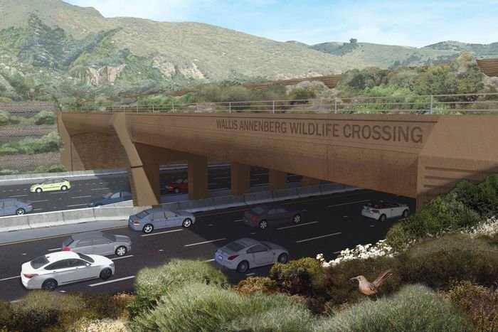 World’s Largest Wildlife Crossing Is Finally Under Way in Los Angeles