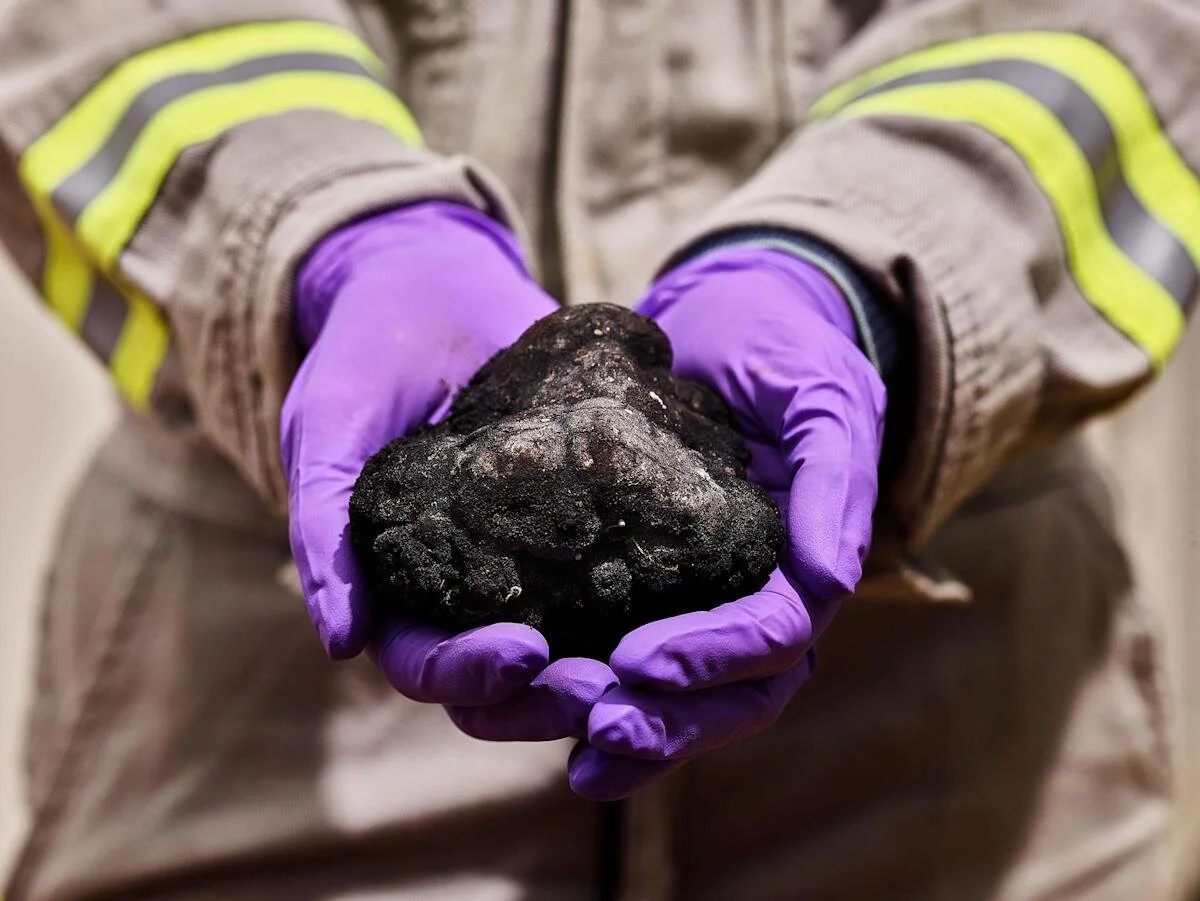 A Climate Solution Lies Deep Under the Ocean—But Accessing It Could Have Huge Environmental Costs