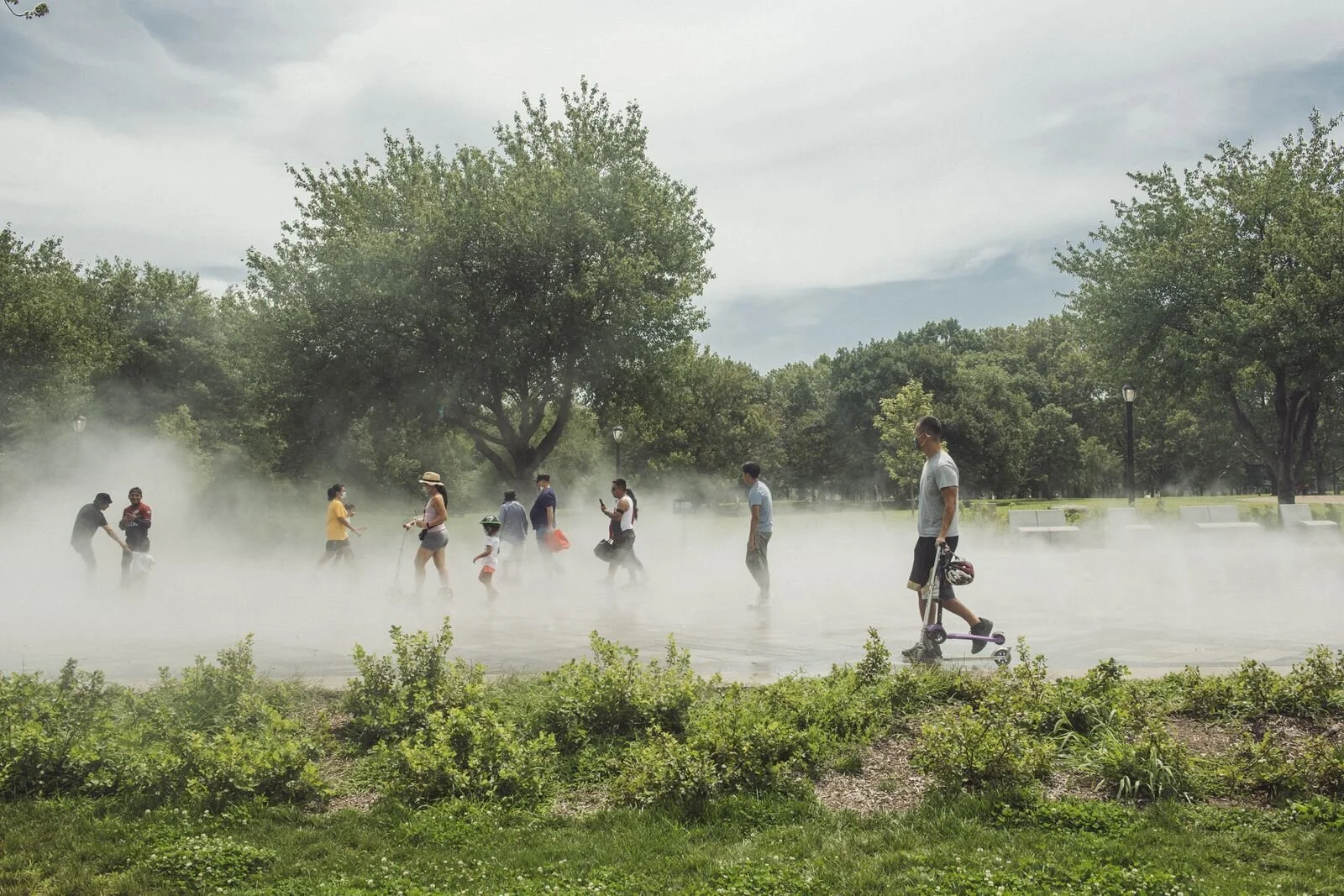 In a Warming World, Consider the Mist Garden