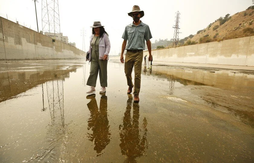 Steelhead trout in the L.A. River? These experts envision a fish passage through downtown
