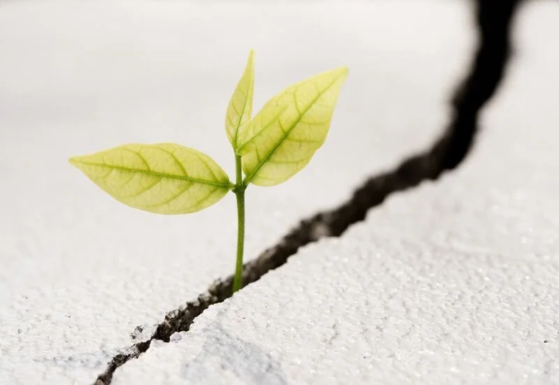 Earth Day at 50: Pandemic Highlights Challenges Amid Progress