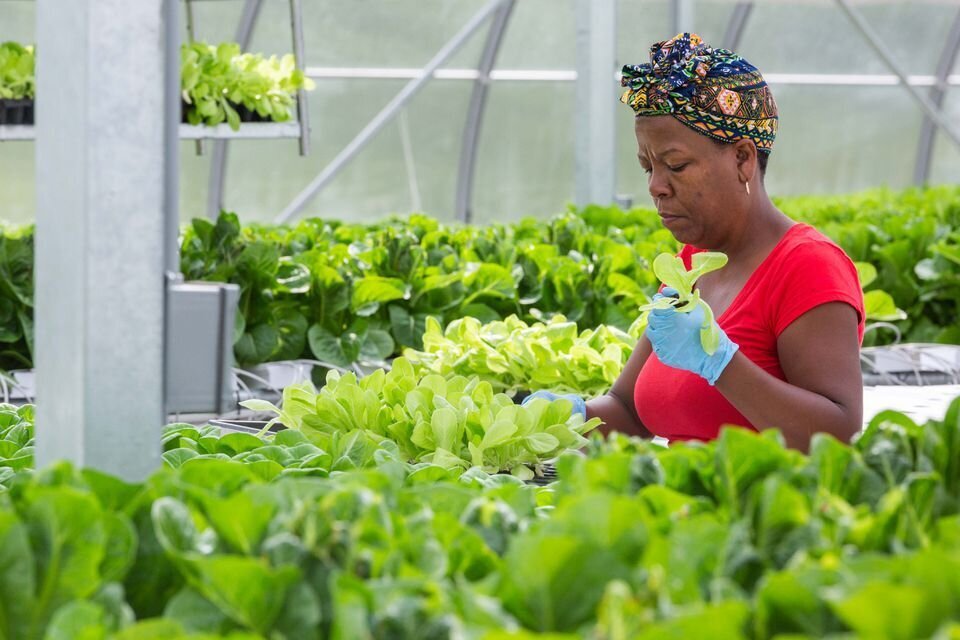 To Combat Widespread Job Loss, Stay Local and Look to Import Replacement