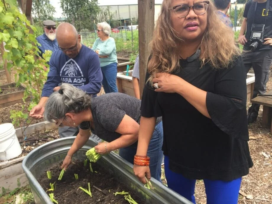 How a Portland Food Bank is Making Gardening Accessible for All