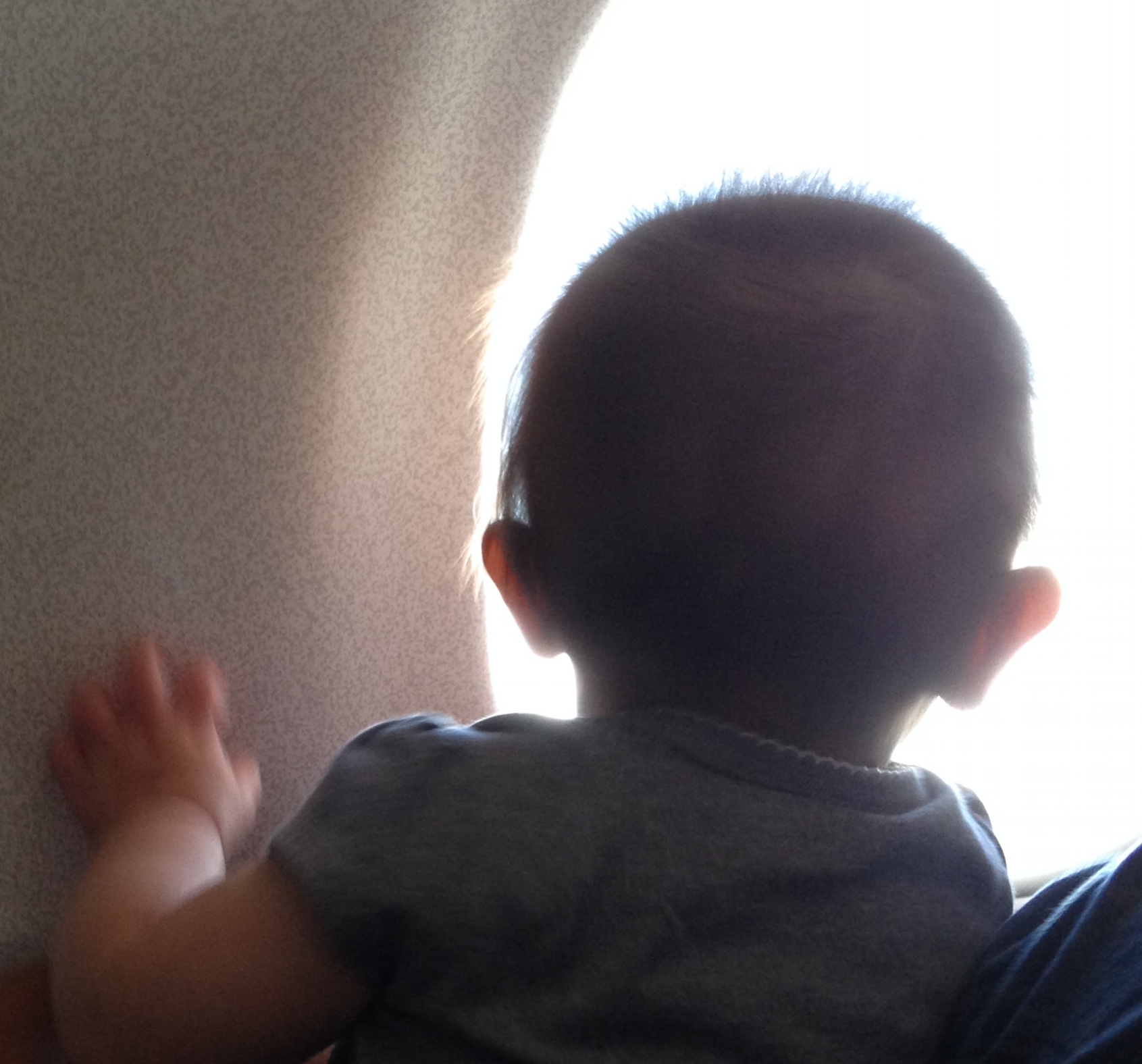 Flying away!