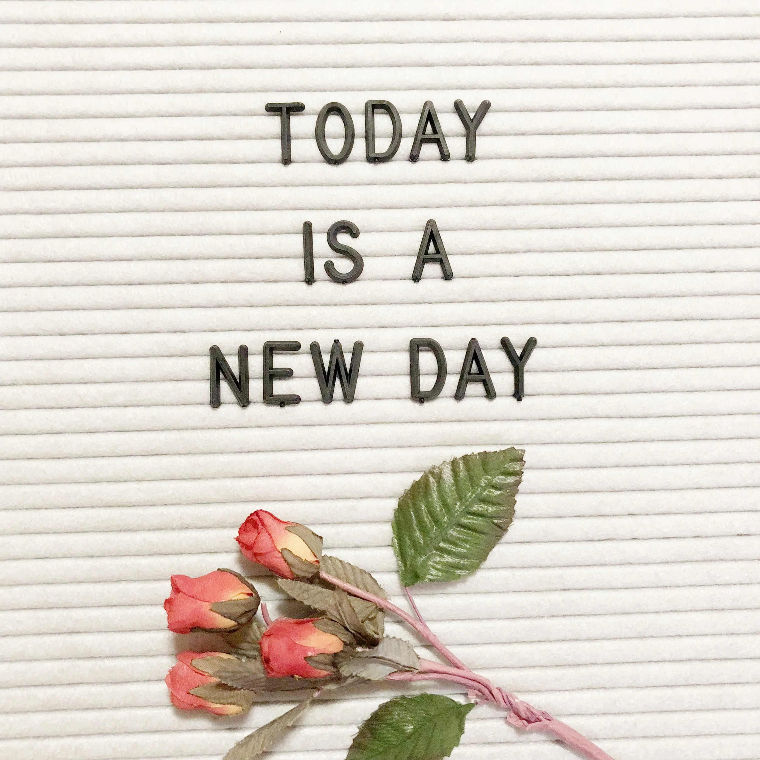 Today is a New Day