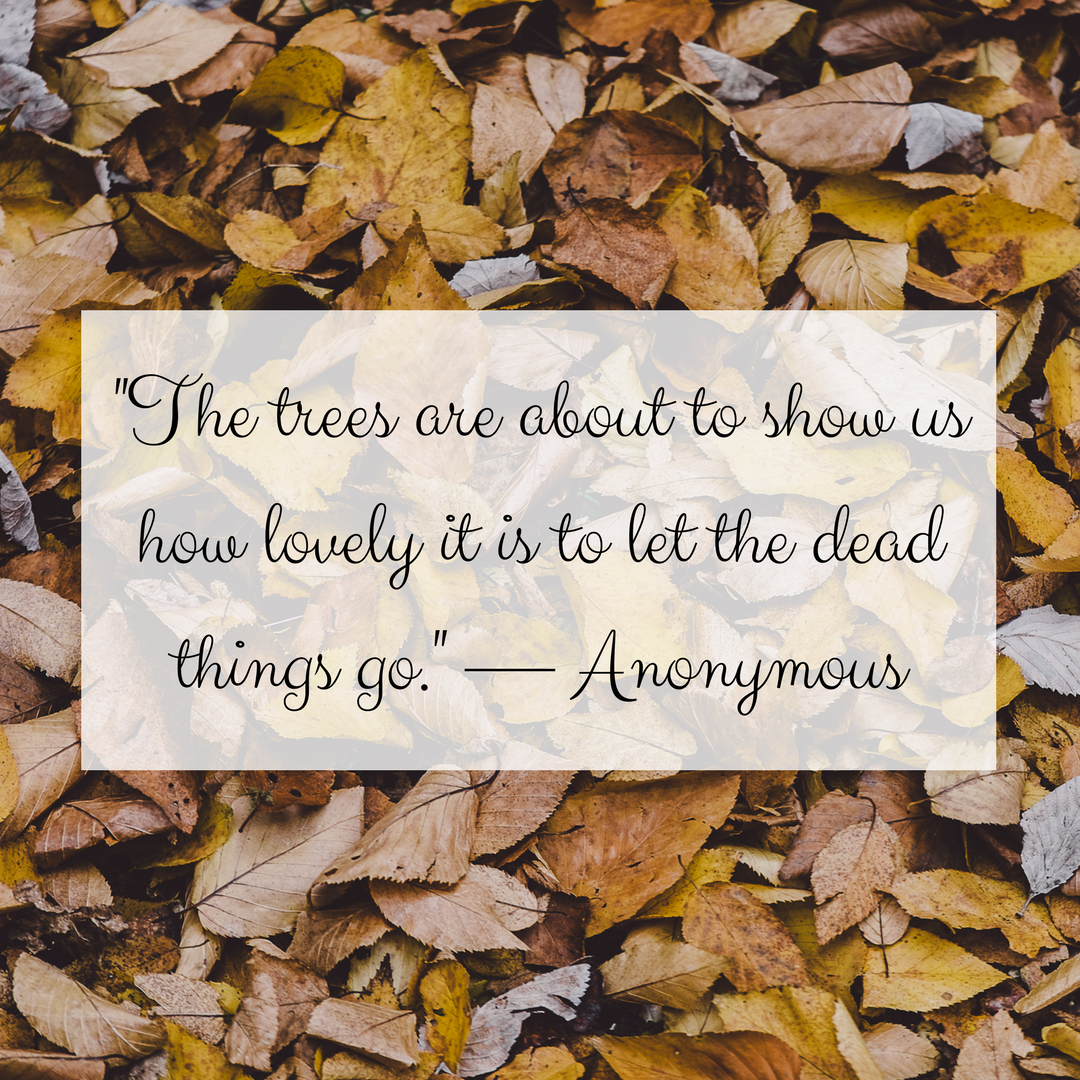 -The trees are about to show us how lovely it is to let the dead things go.- — Anonymous.png