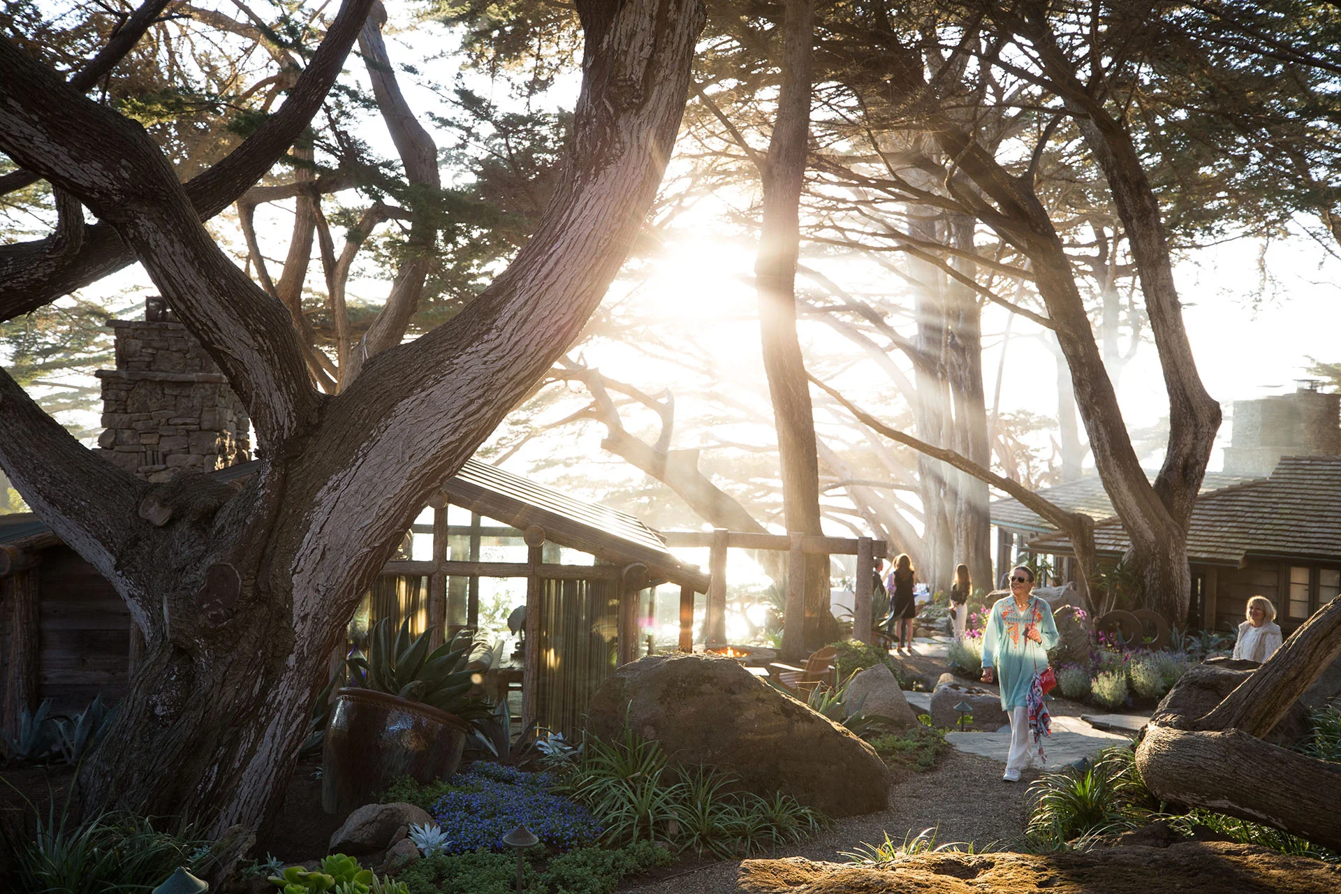BIGSUR051.jpg