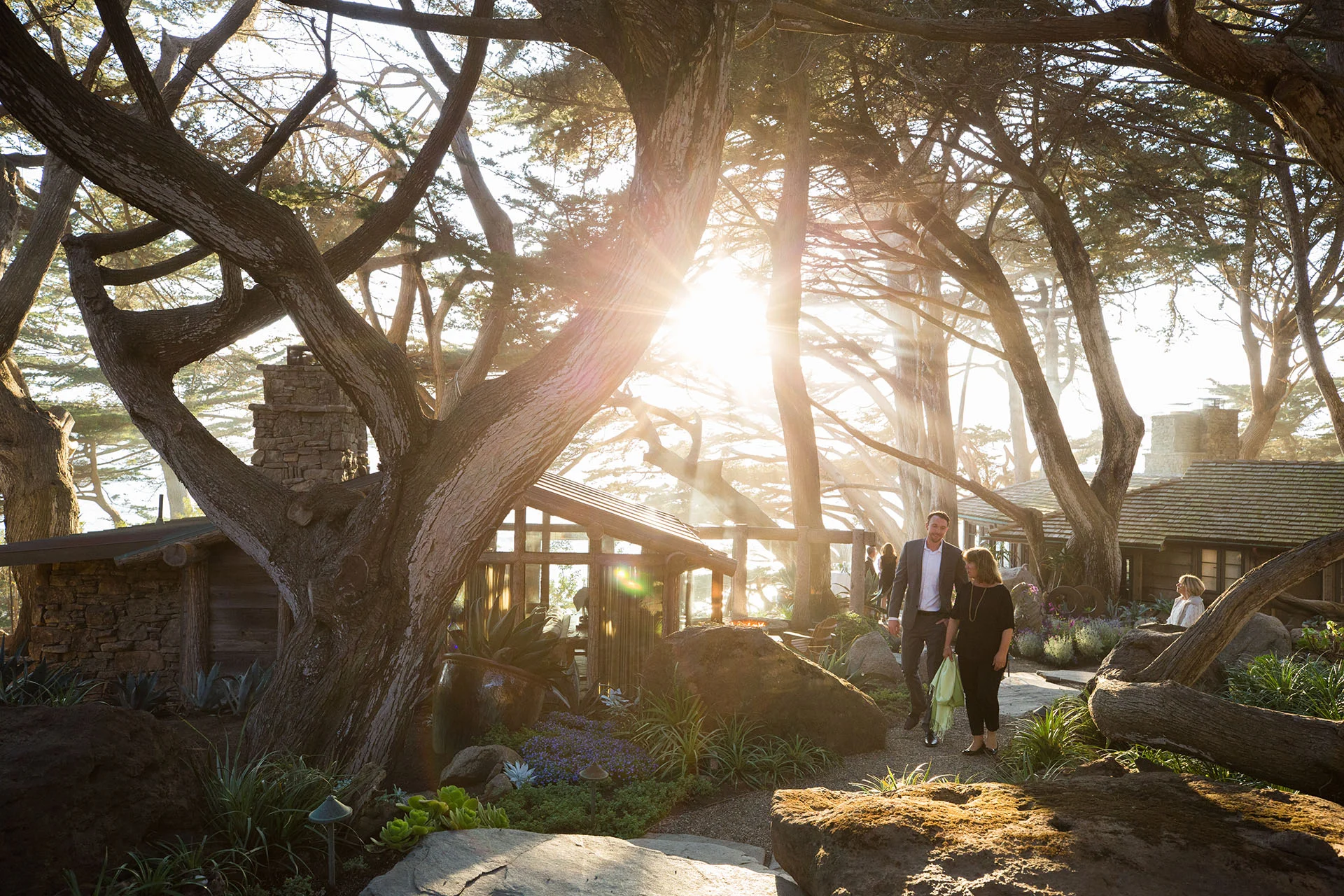 BIGSUR053.jpg