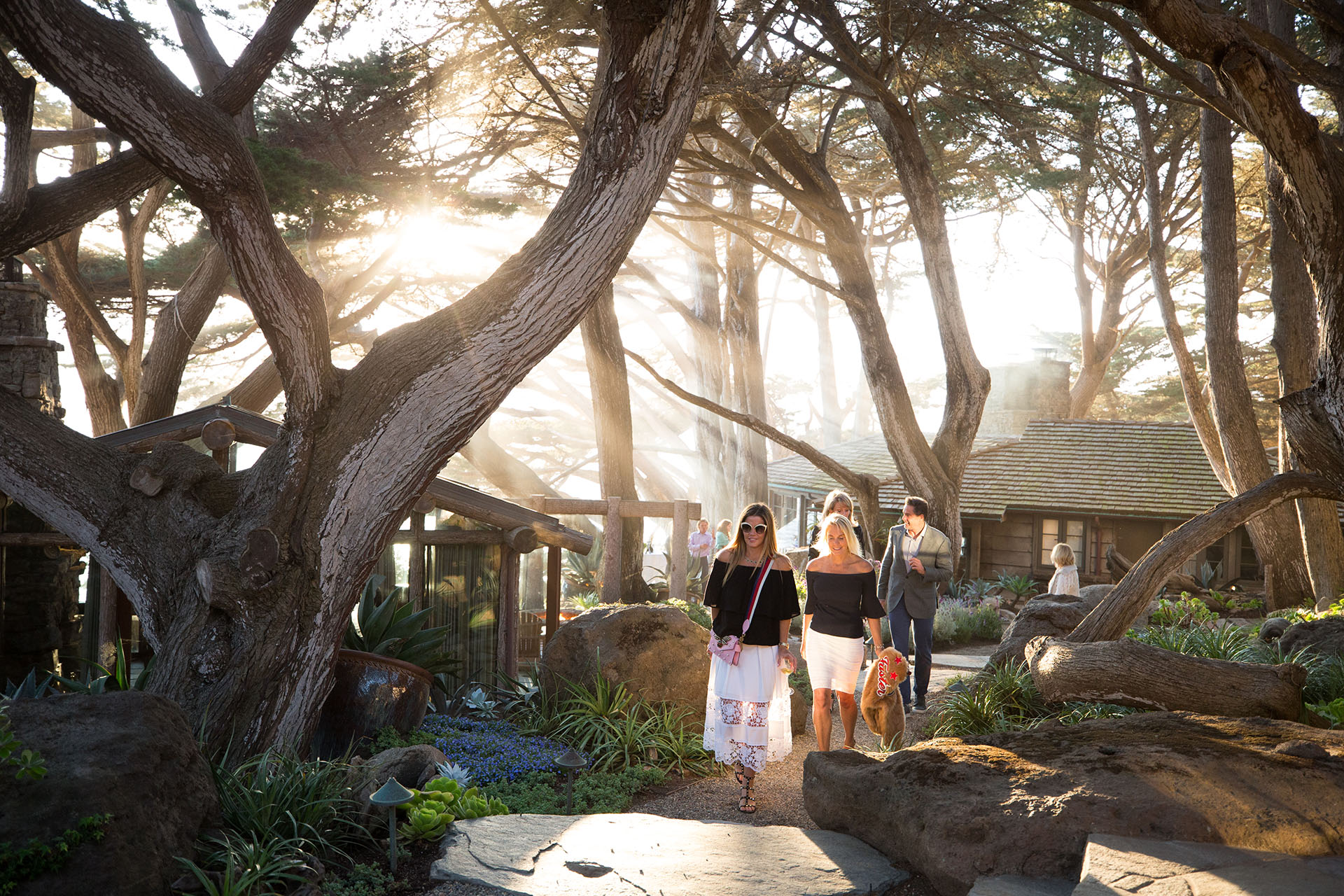 BIGSUR057.jpg