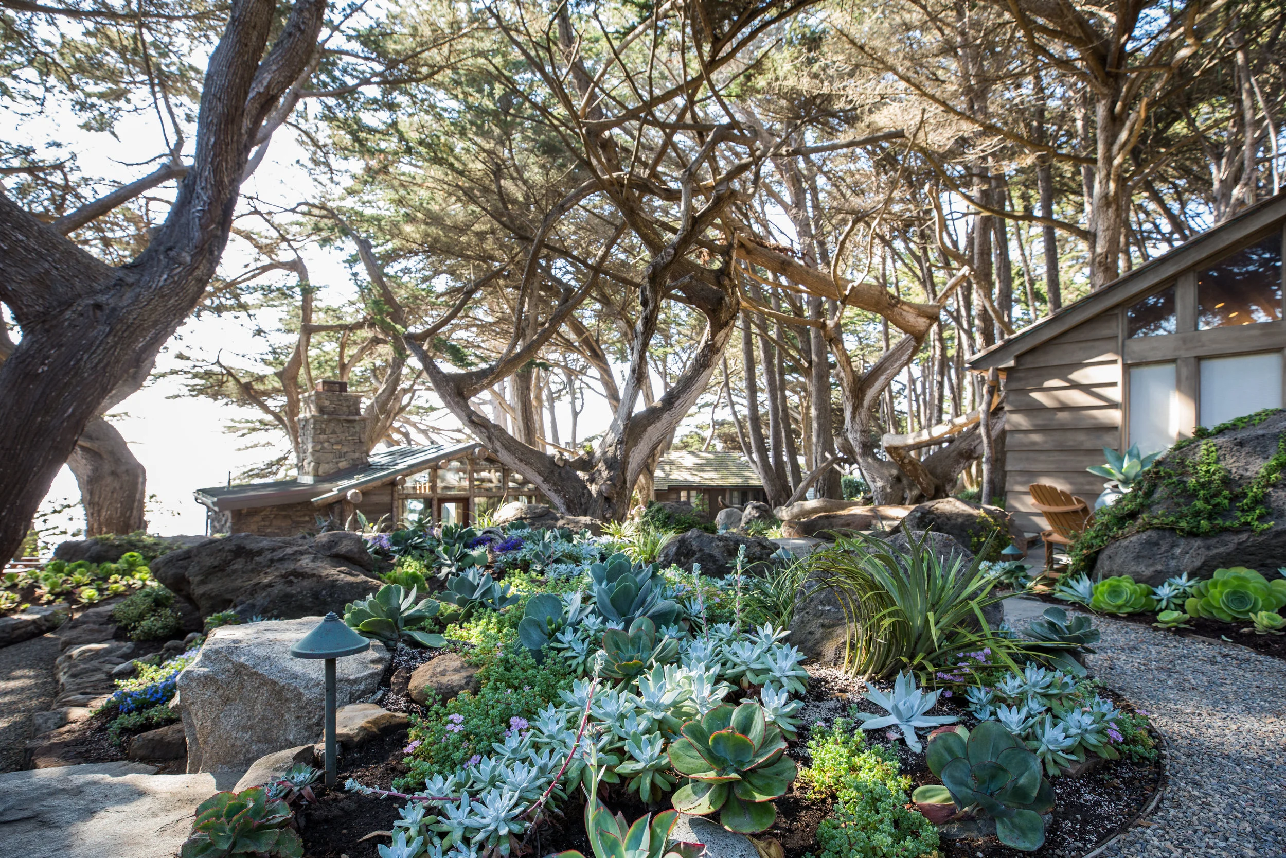 BIGSUR002 (1).jpg