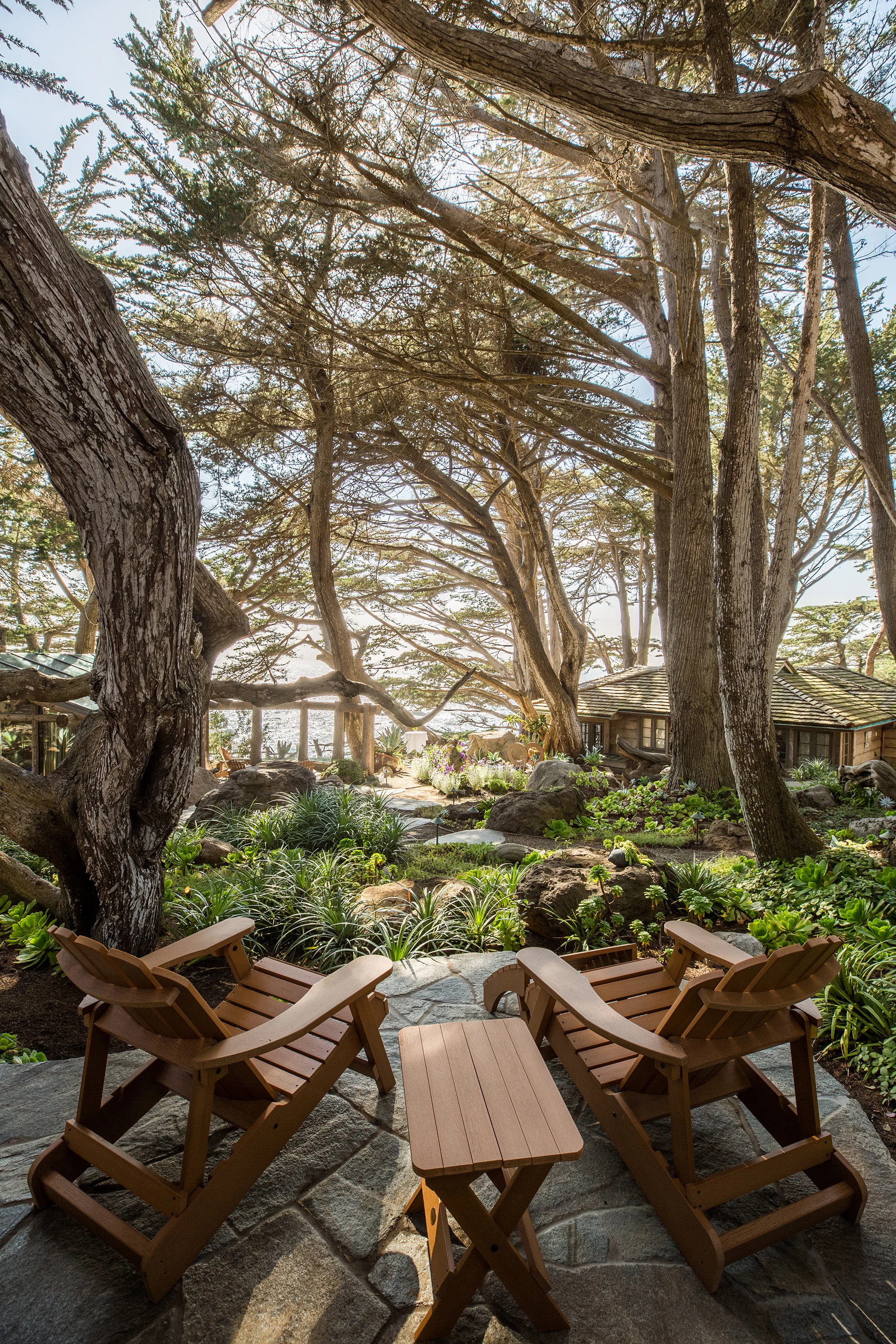 BIGSUR006.jpg