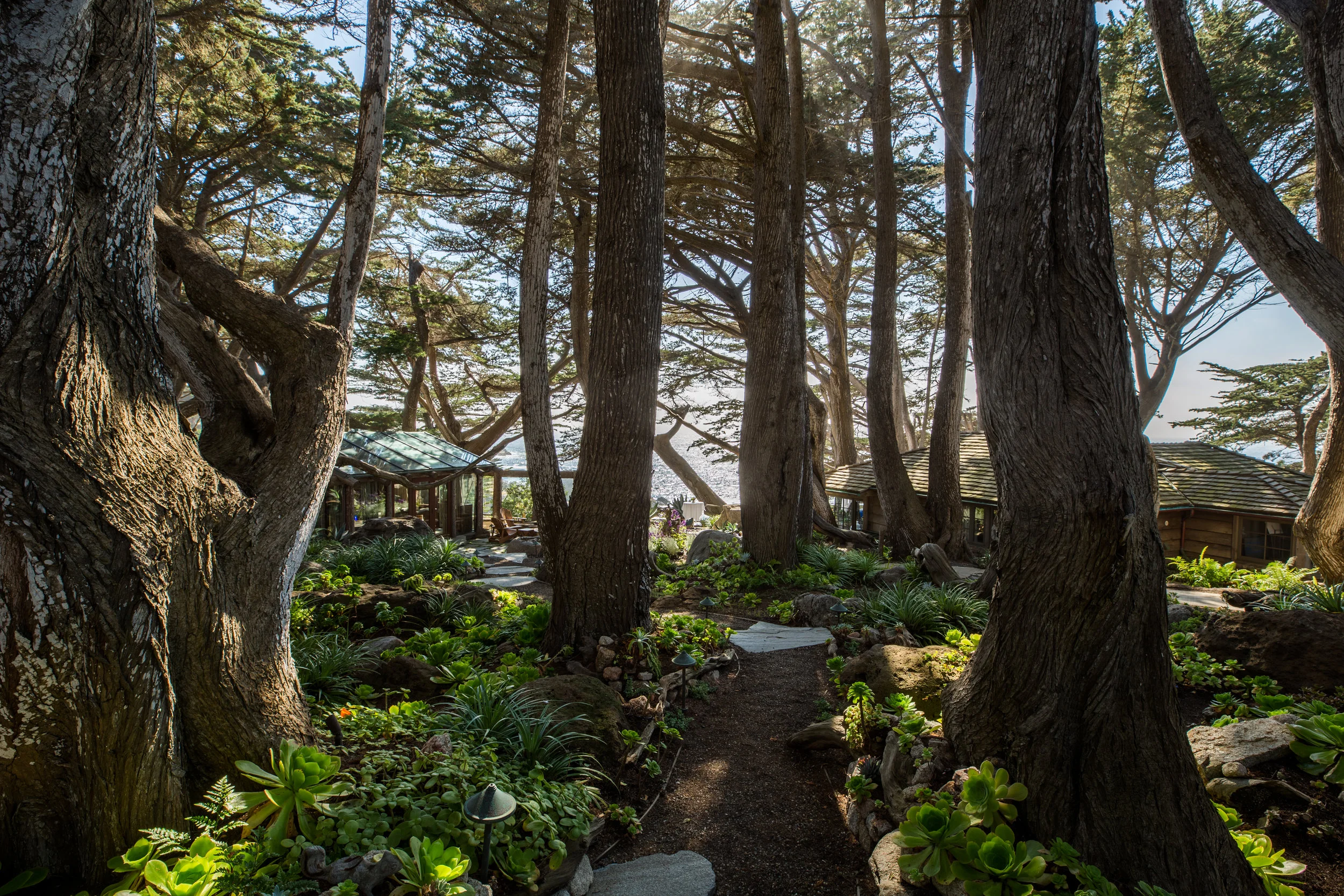 BIGSUR004.jpg
