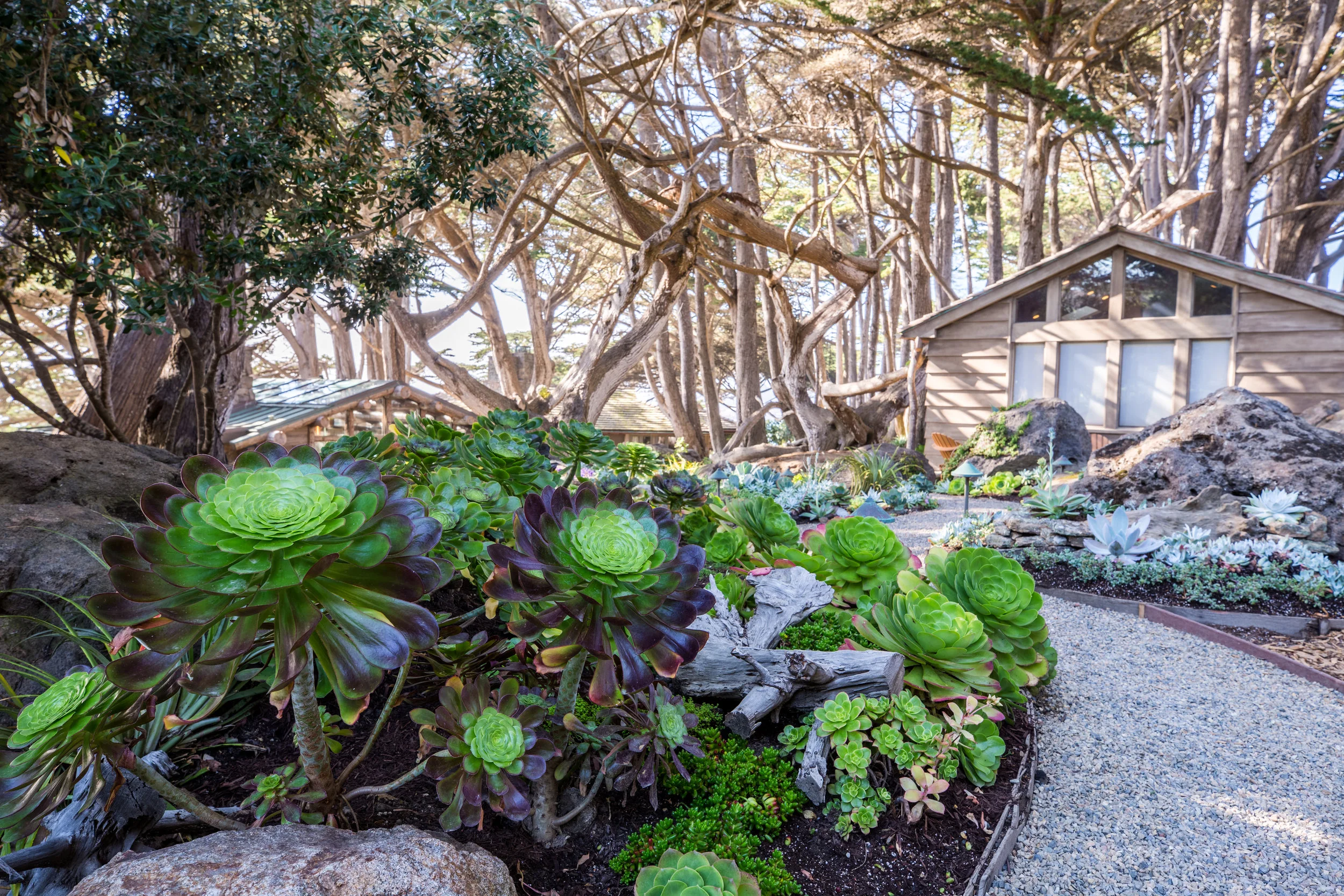 BIGSUR012.jpg