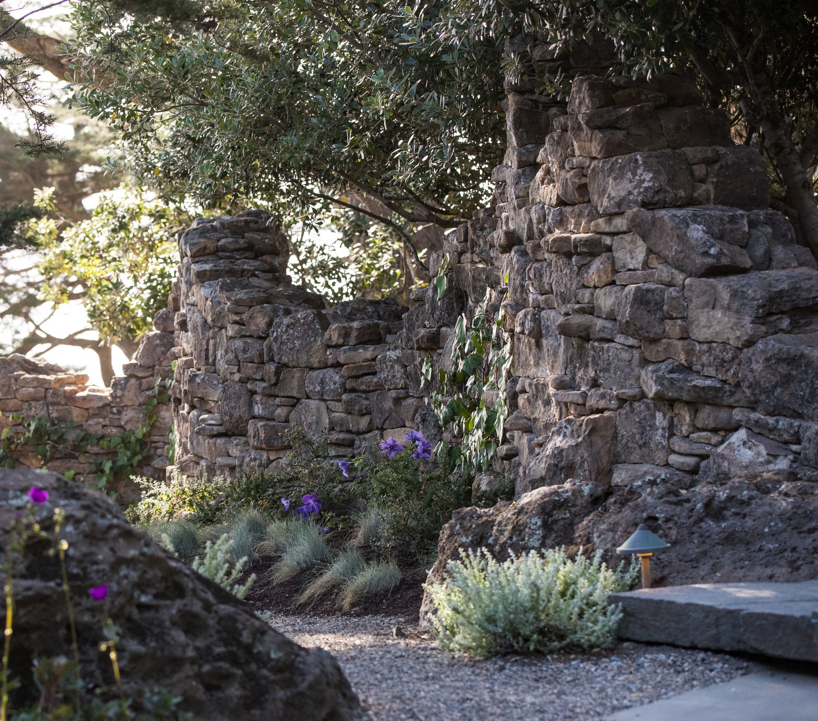 BIGSUR019 (1).jpg