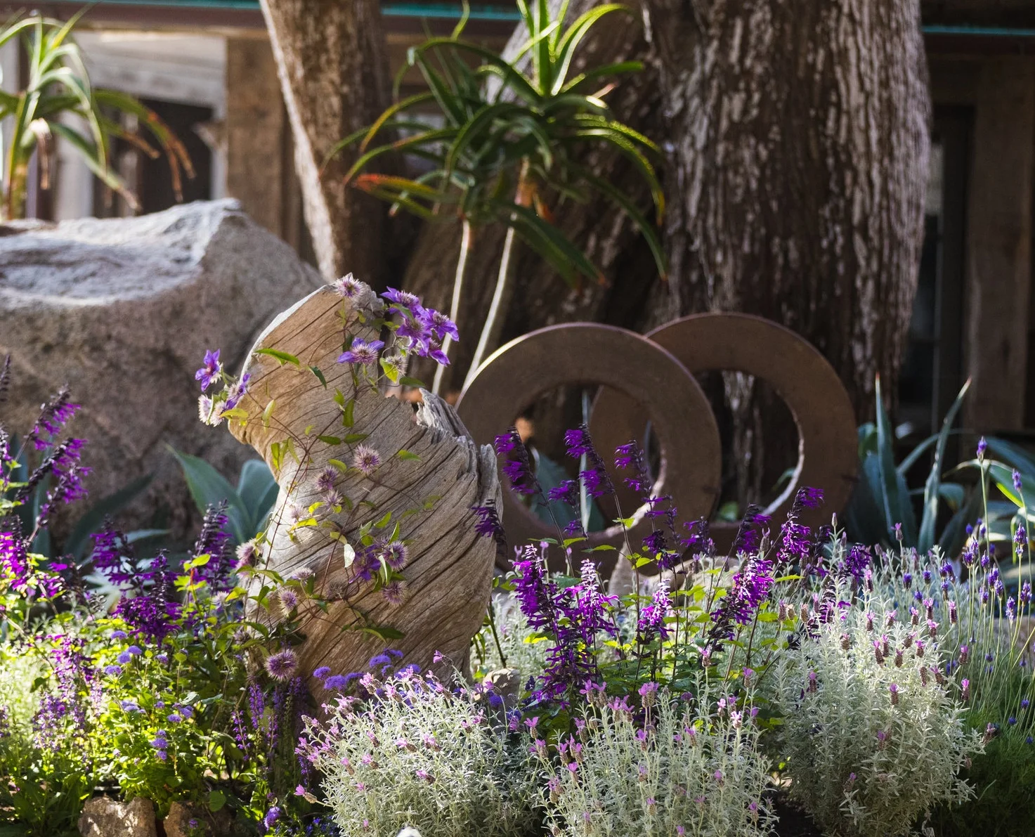 BIGSUR014.jpg