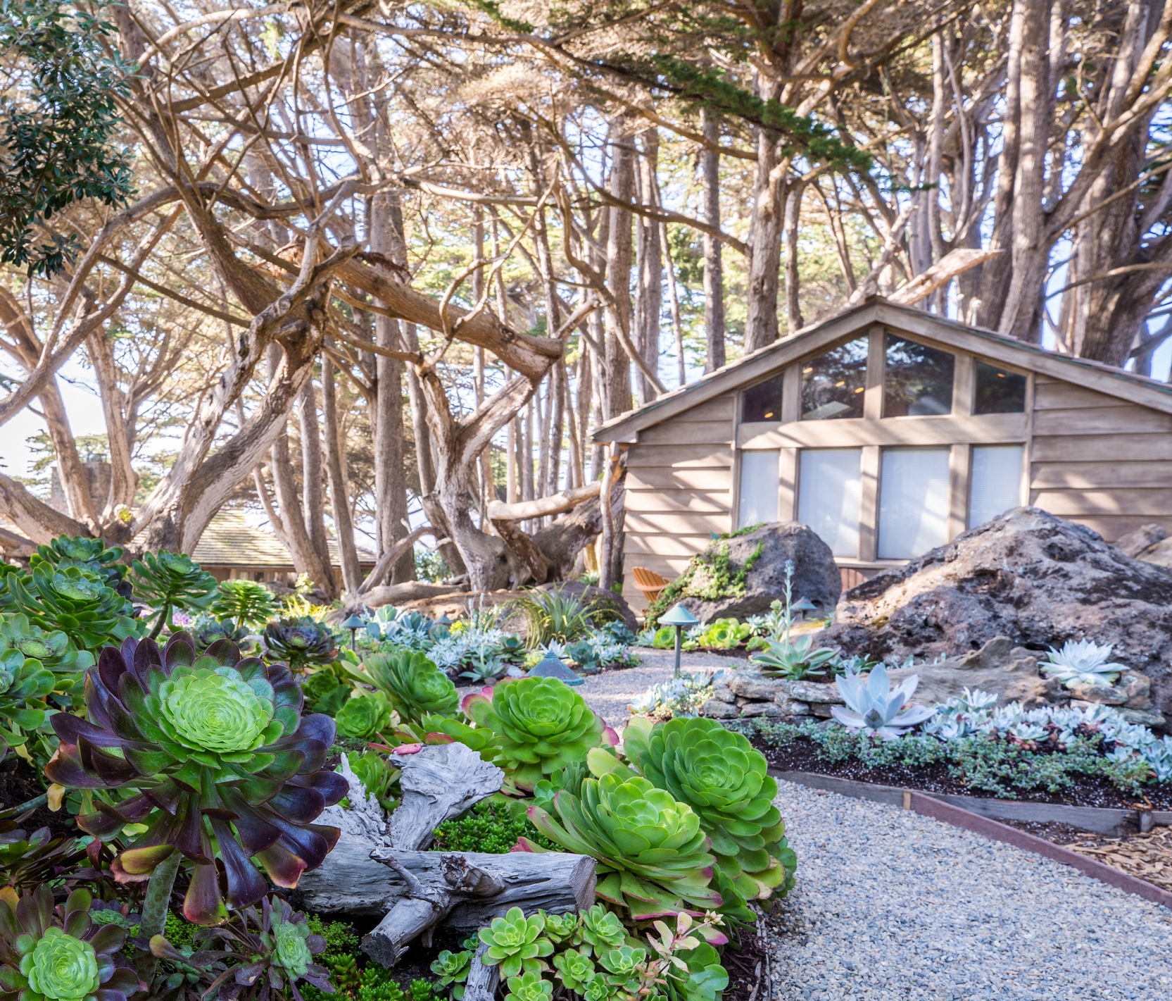 BIGSUR012.jpg