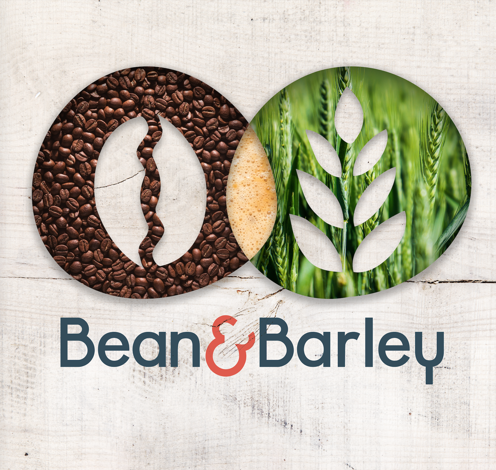 Bean &amp; Barley Logo and Brand, 2018