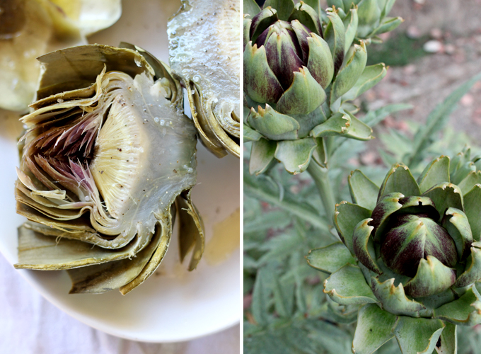 Steamed Artichokes with Cilantro Parsley Dipping Sauce