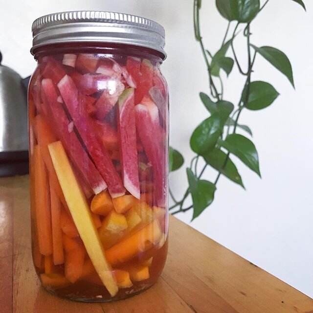 SIMPLE PICKLE WORKSHOP 🥒🥕🌶 This Sunday @ 11am I&rsquo;m hosting a Simple Pickle 101 Recipe Demo with @forherepls !
_
Pickling can be intimidating, but I promise this humble tradition is simple to master. All you really need is some jars, vinegar, 