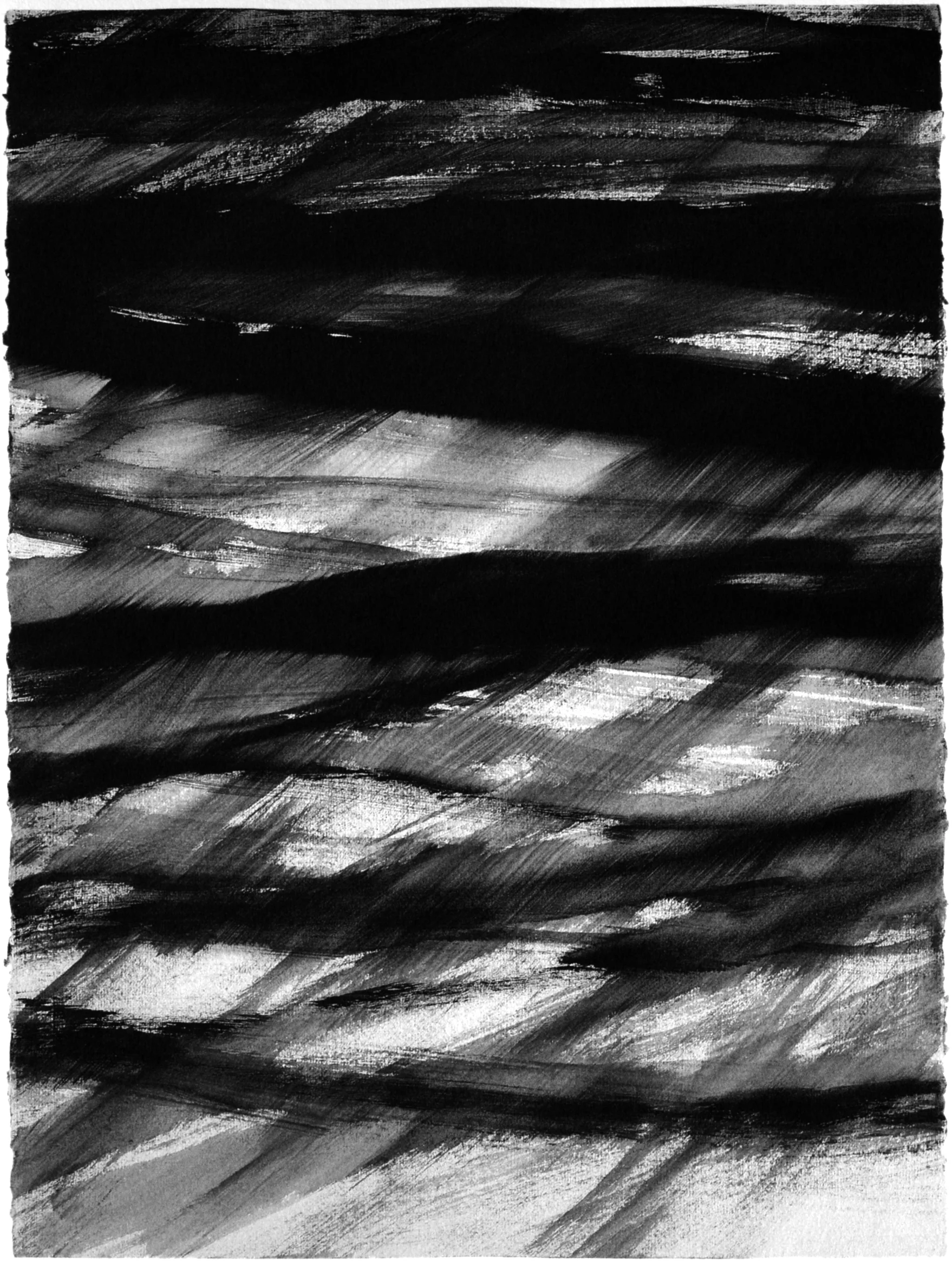 Untitled 12 , 2000-2001, ink and graphite wash on paper, 30"H x 22"W