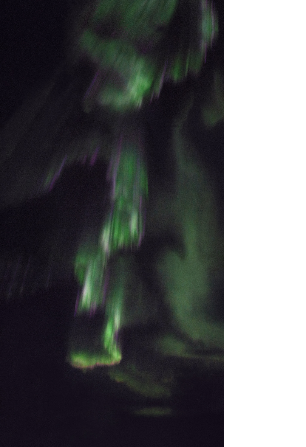 Forbidden Transitions I , 2017, Archival Pigment Print, 96"H x 48"W