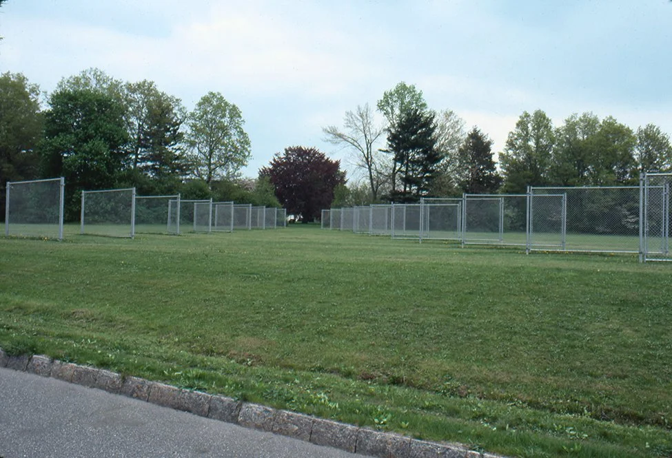   Sightline/Access,  1981, Neuberger Museum, Purchase, NY. Temporary Project. 