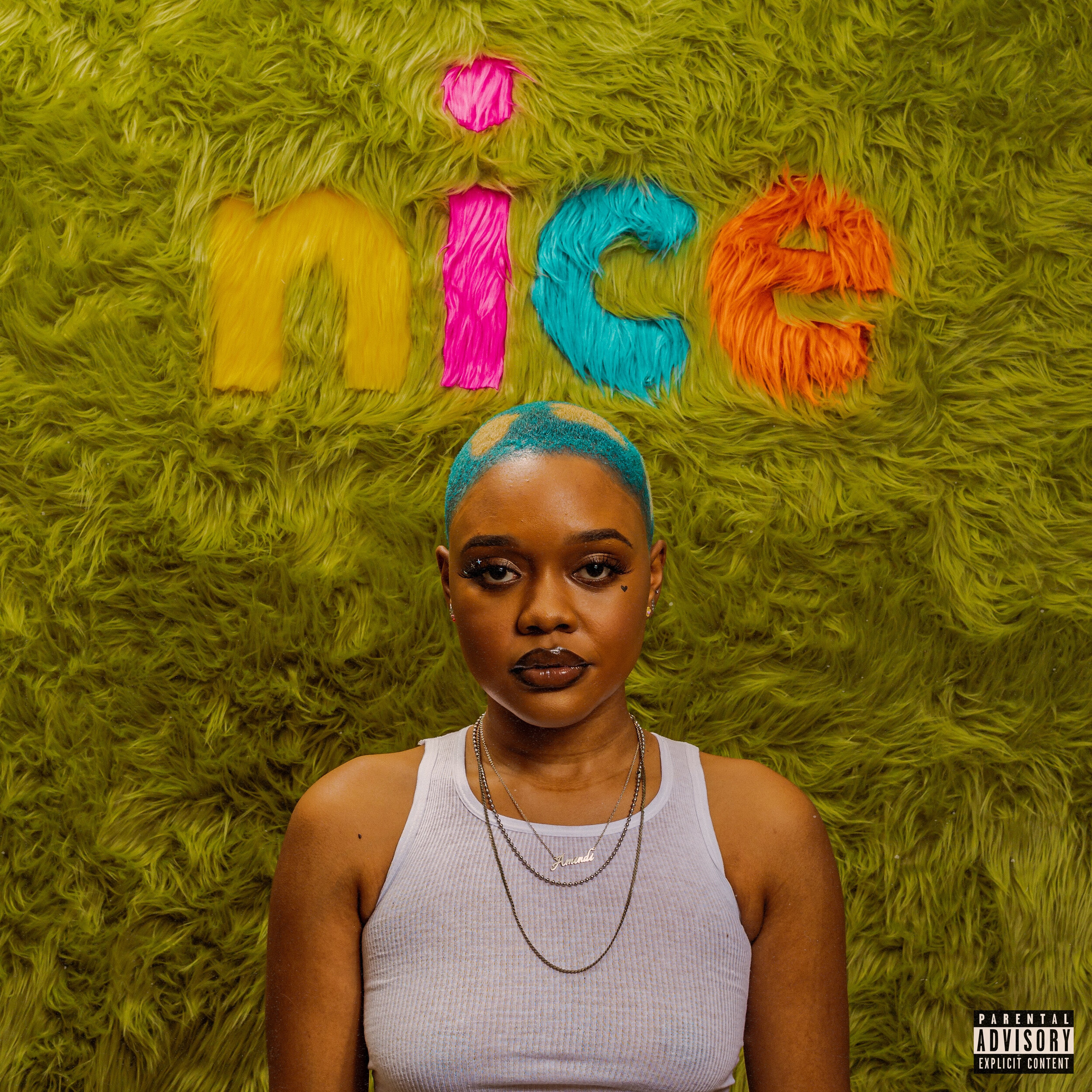 Nice - EP Cover