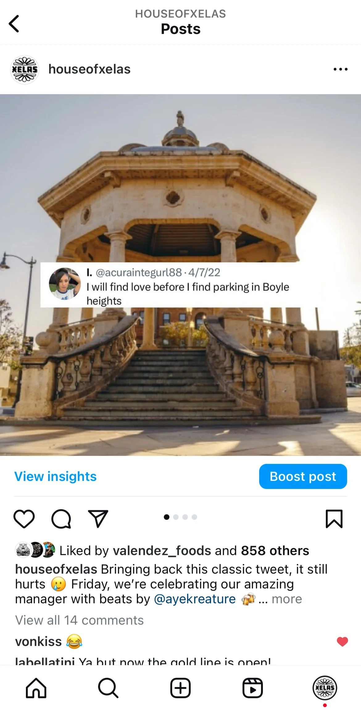 House of Xelas — Areli Arellano