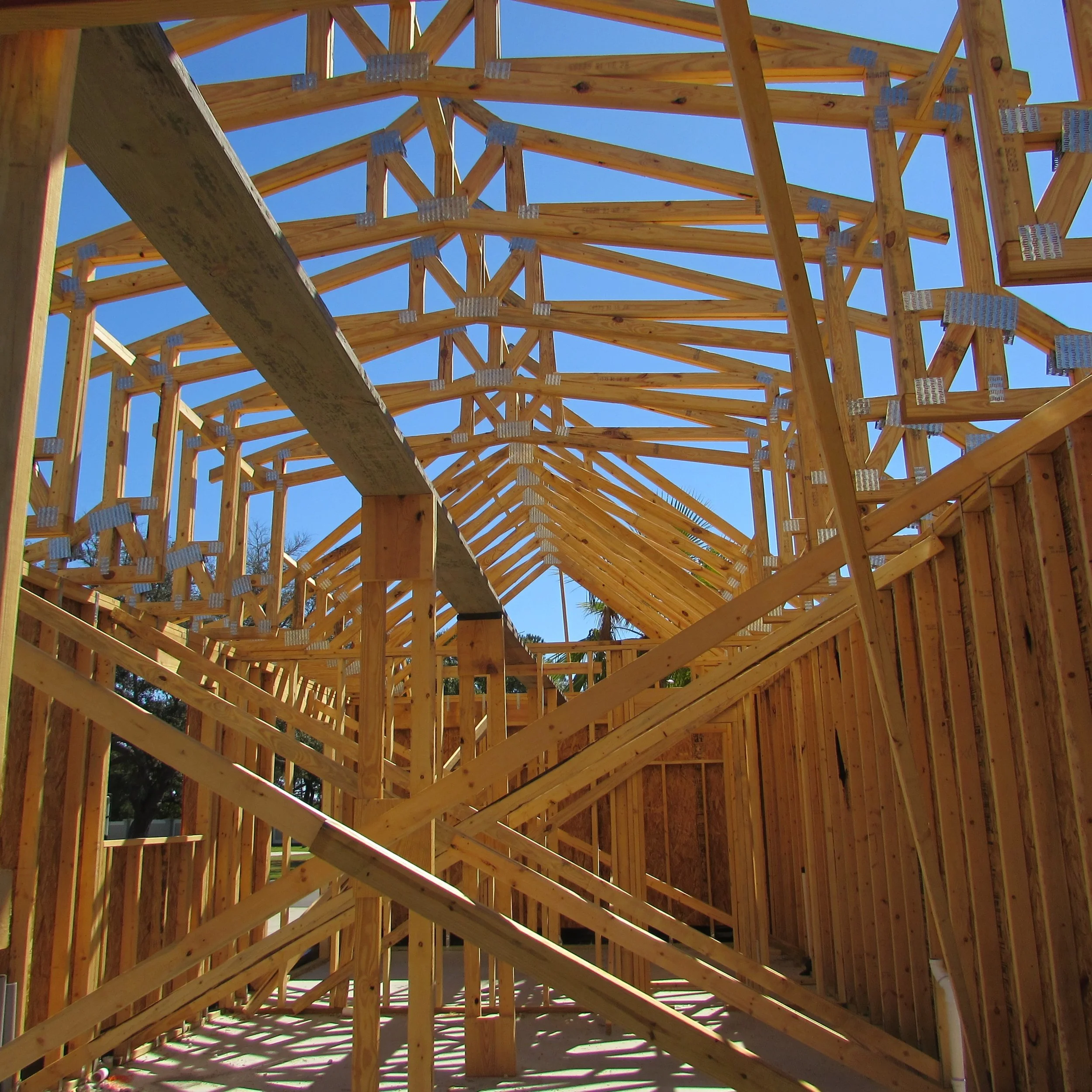 home construction framing.jpg