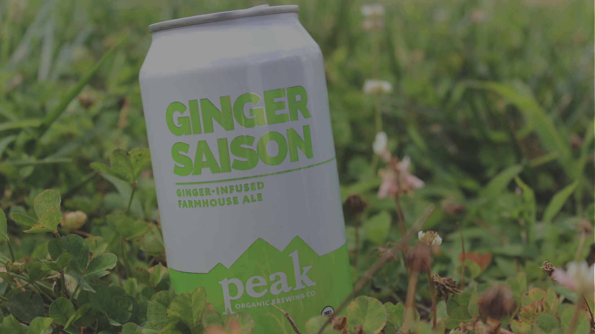 Our Beers — Peak