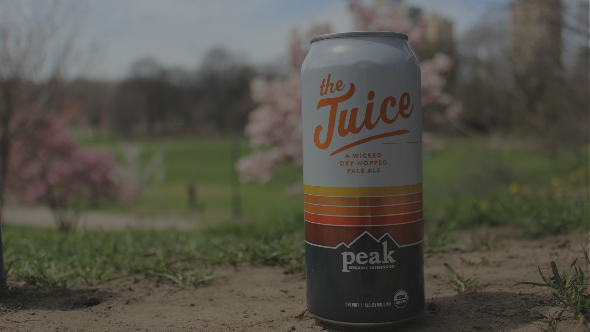 Our Beers — Peak