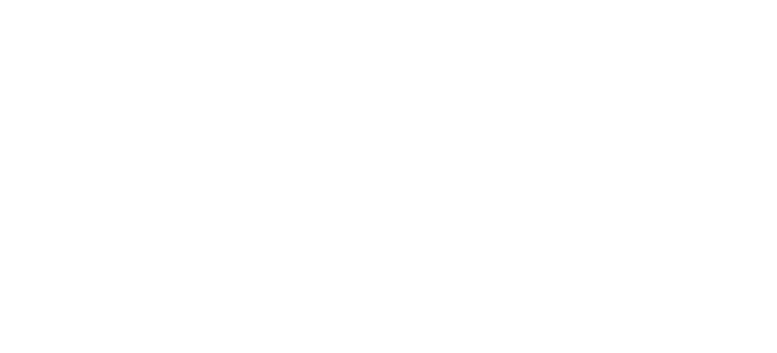 Vw-Challenged-logo.png