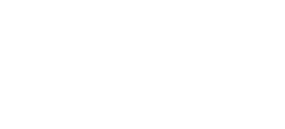 Vw-Lonerider-logo.png