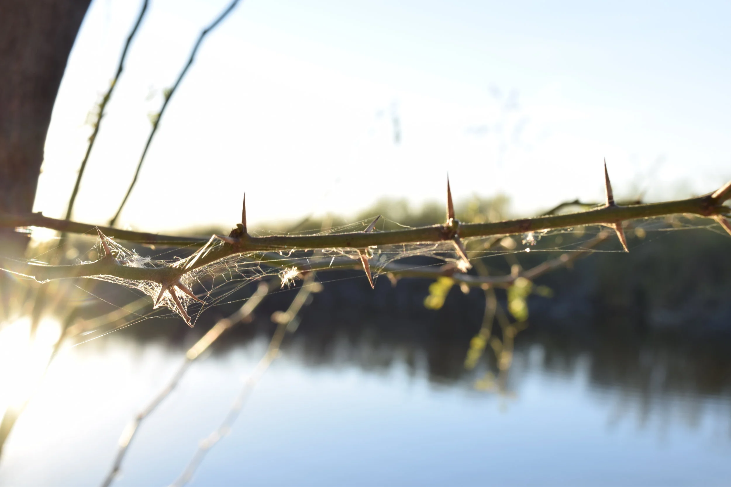 Fishing_03.JPG