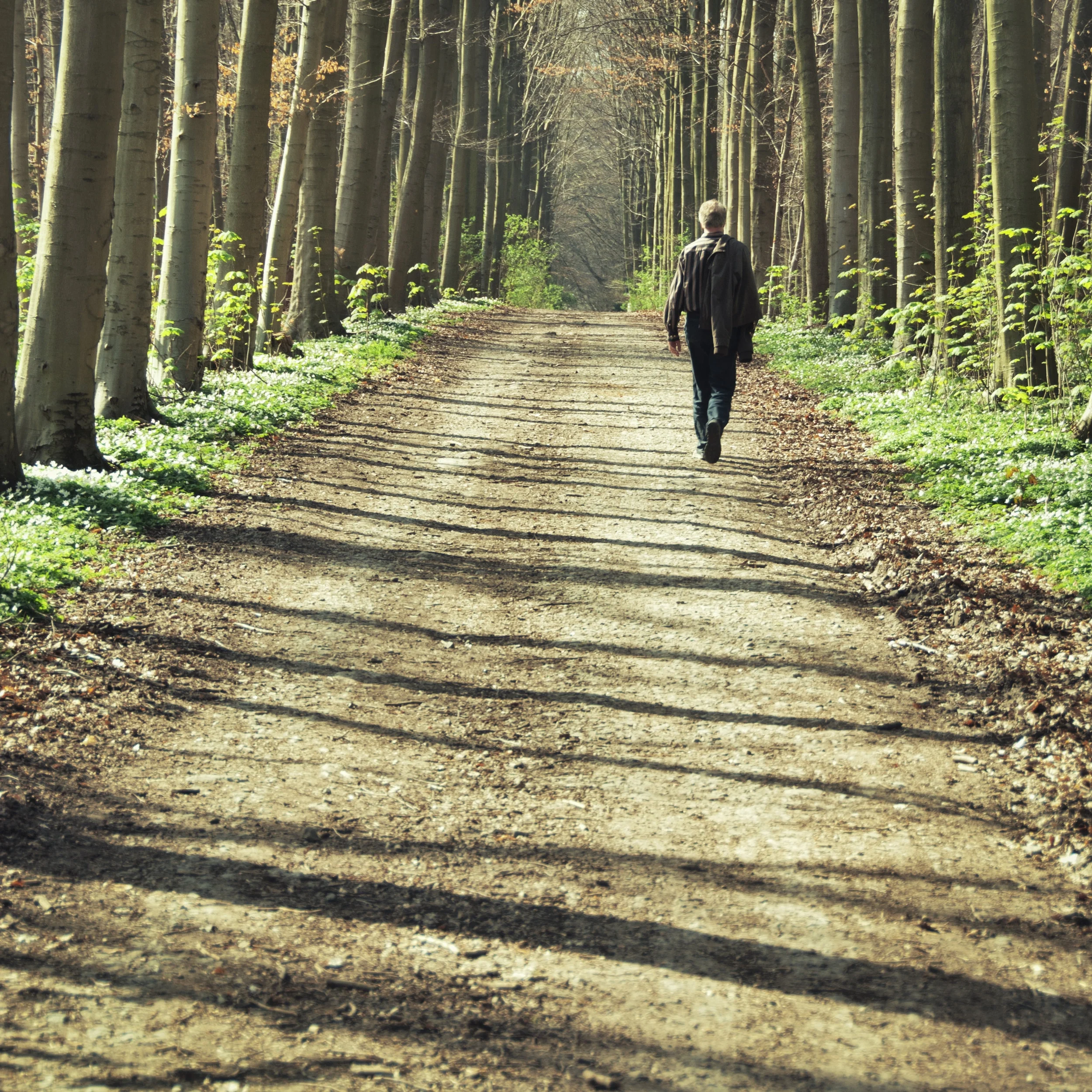Adult and Individual Therapy