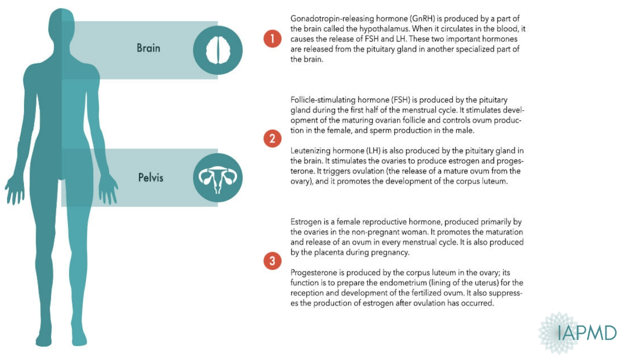 Pmdd Cycle Chart