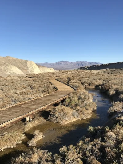 The Salt Creek boardwalk
