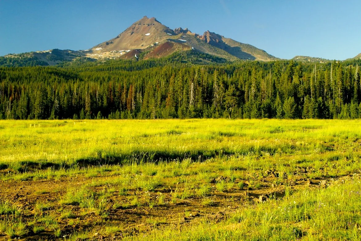 The Wilderness Within