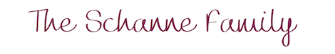 Schanne Logo.png