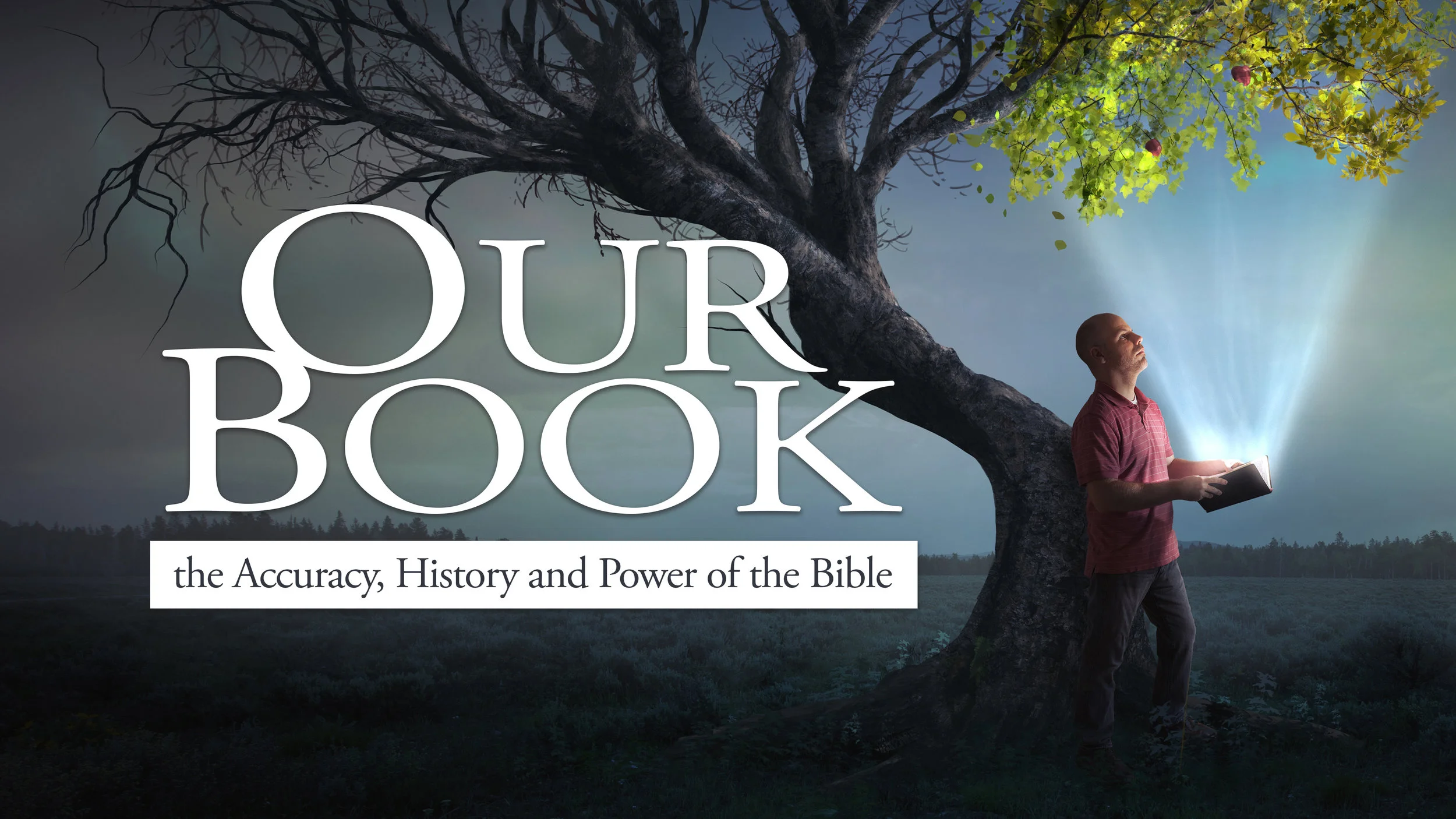 web_our_book_2.jpg