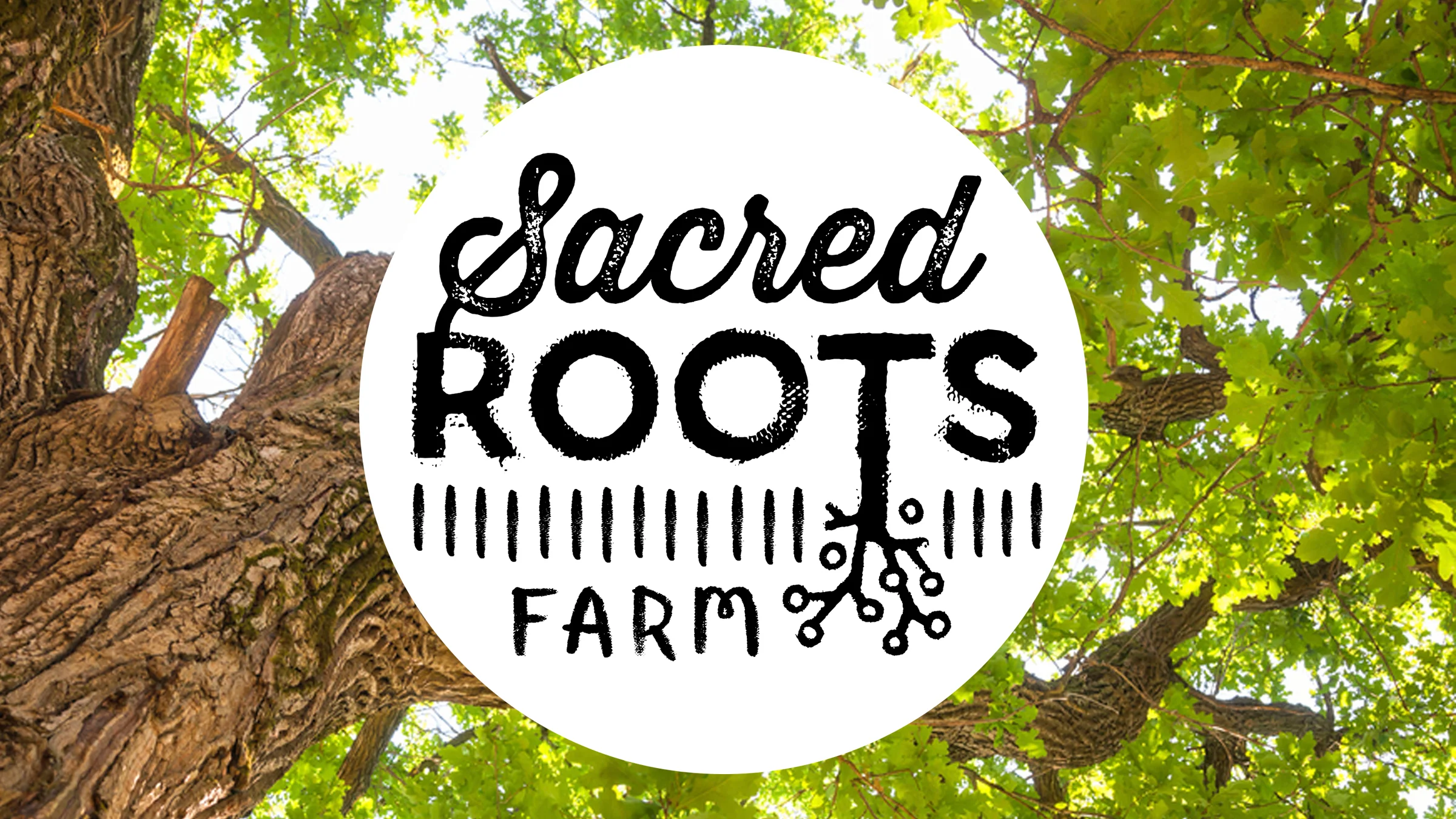 screen_sacred_roots.jpg