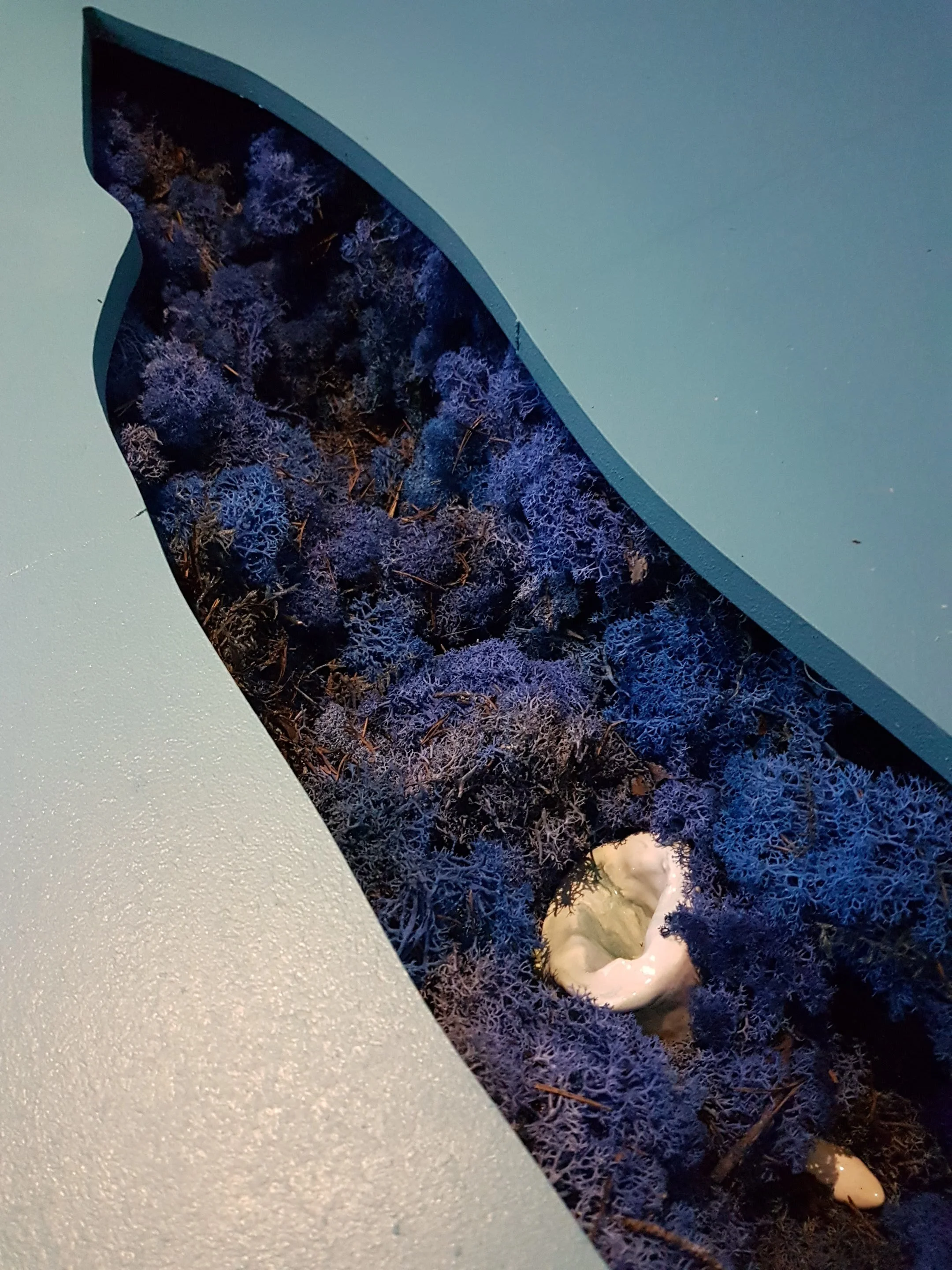 20180217_192829.jpg