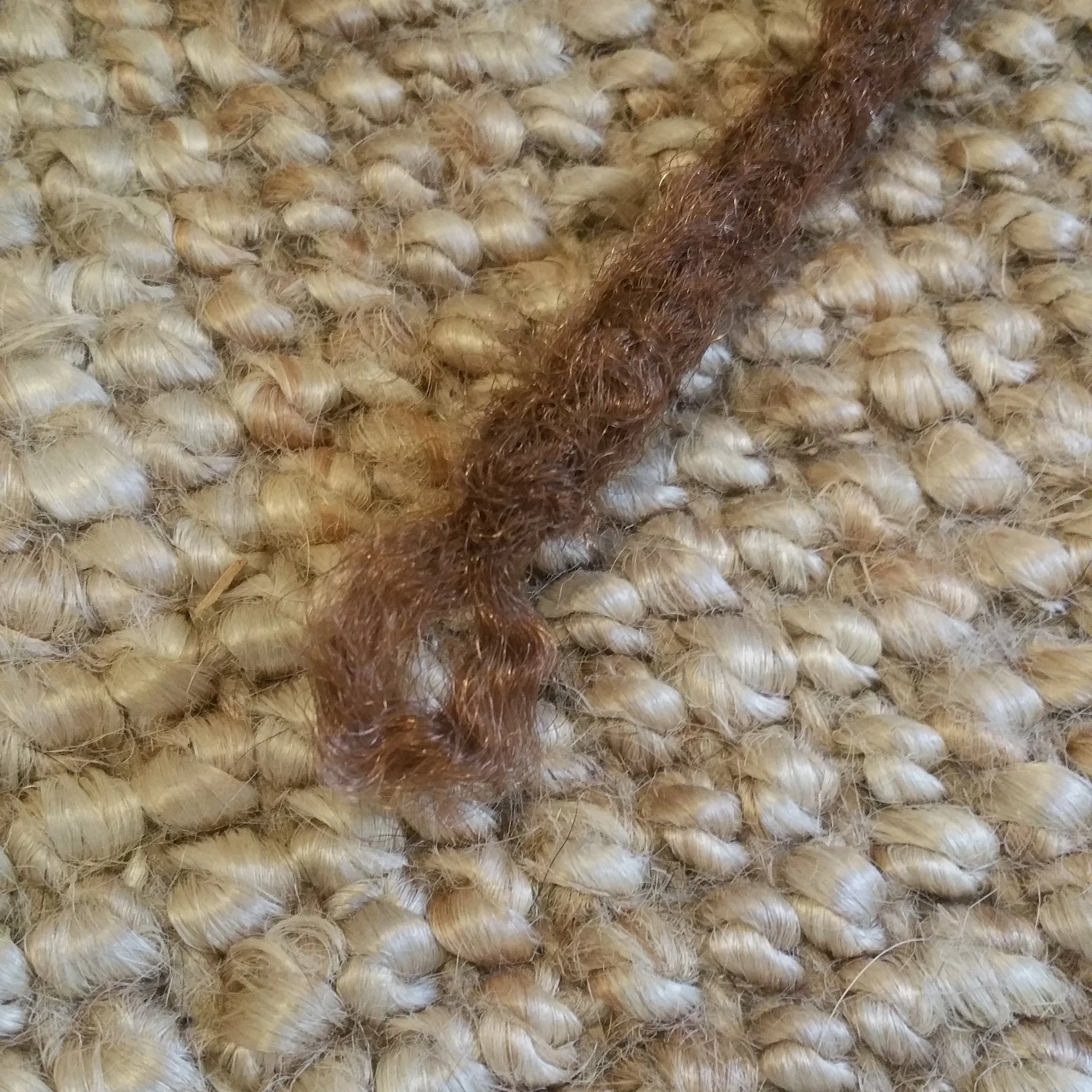 20180530_120719.jpg