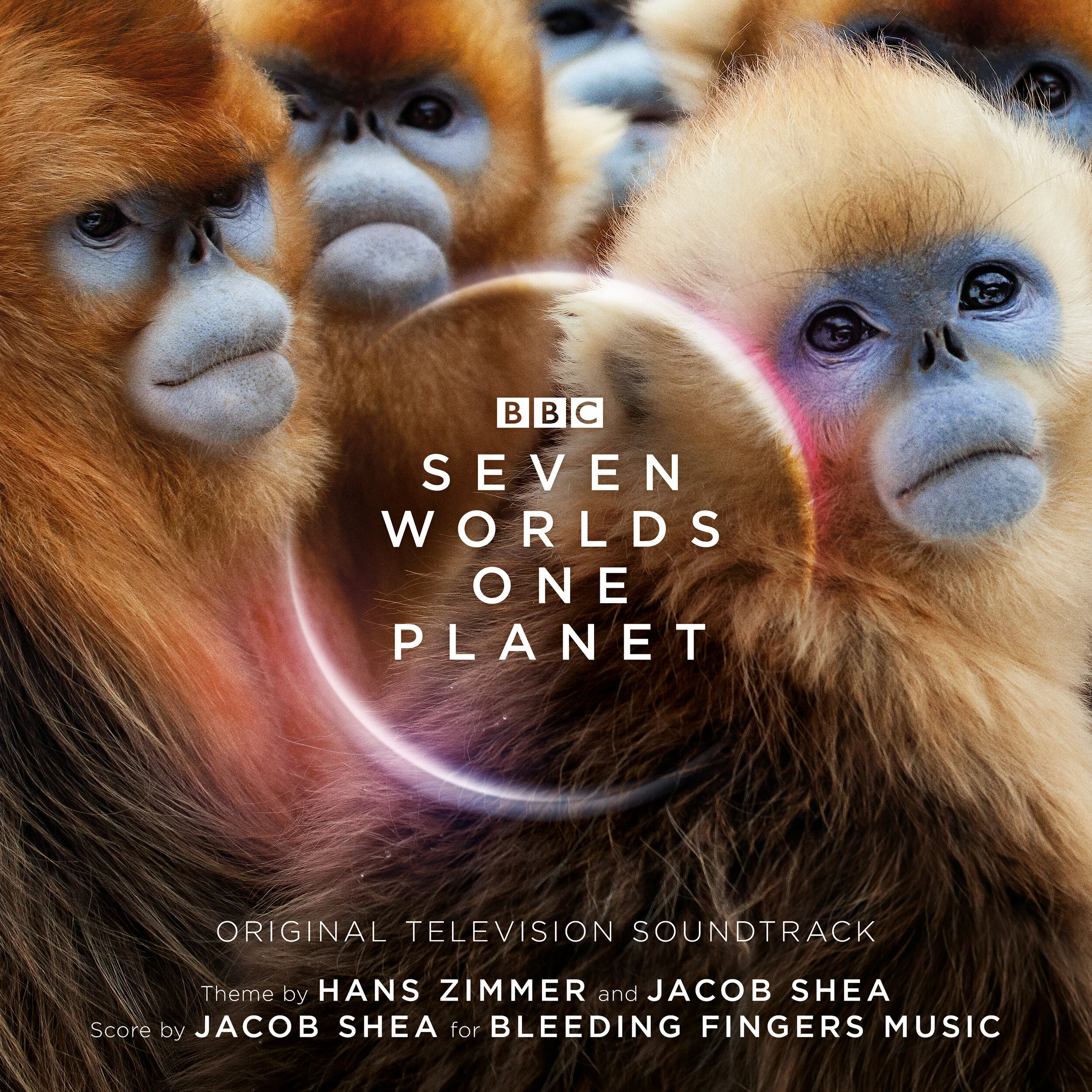 SILCD1611-SWOP-cover-V2.jpg