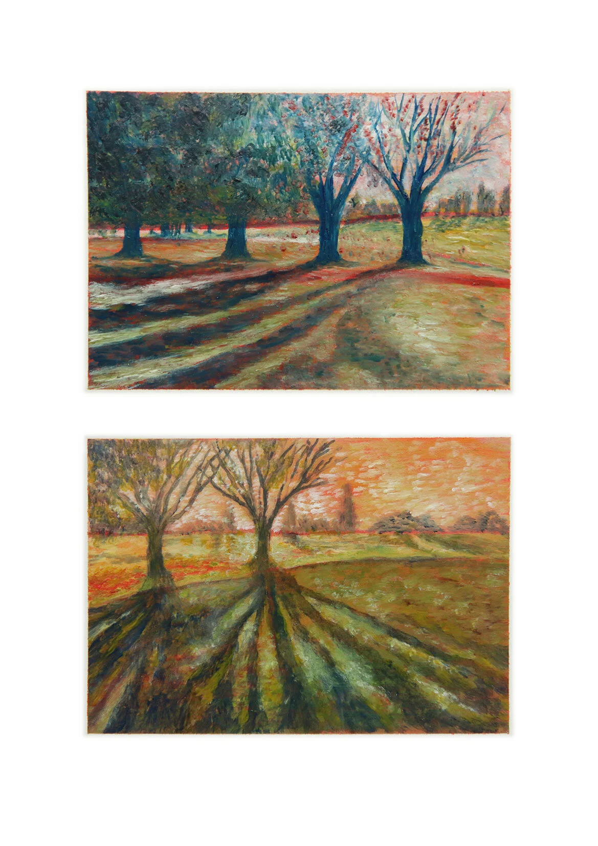 Light-in-the-shadows2_Kathy-Glentworth.jpg