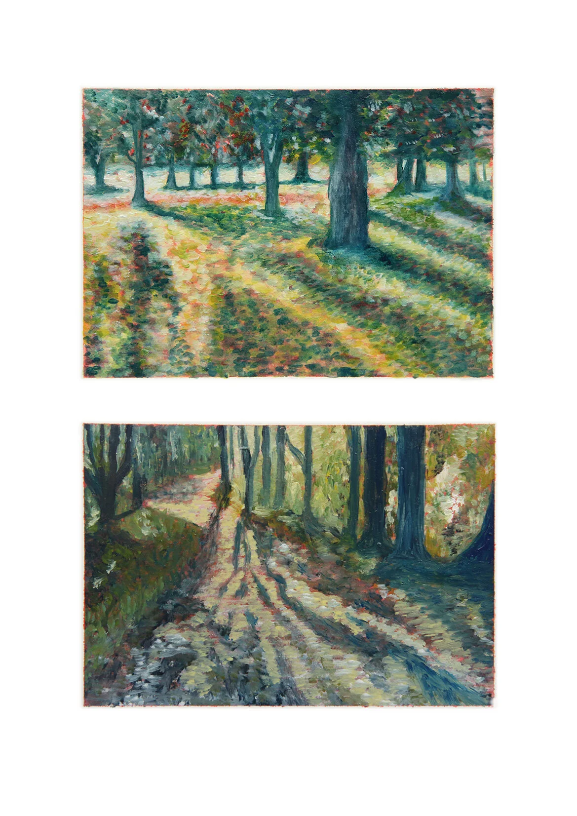 Light-in-the-shadows3_Kathy-Glentworth.jpg
